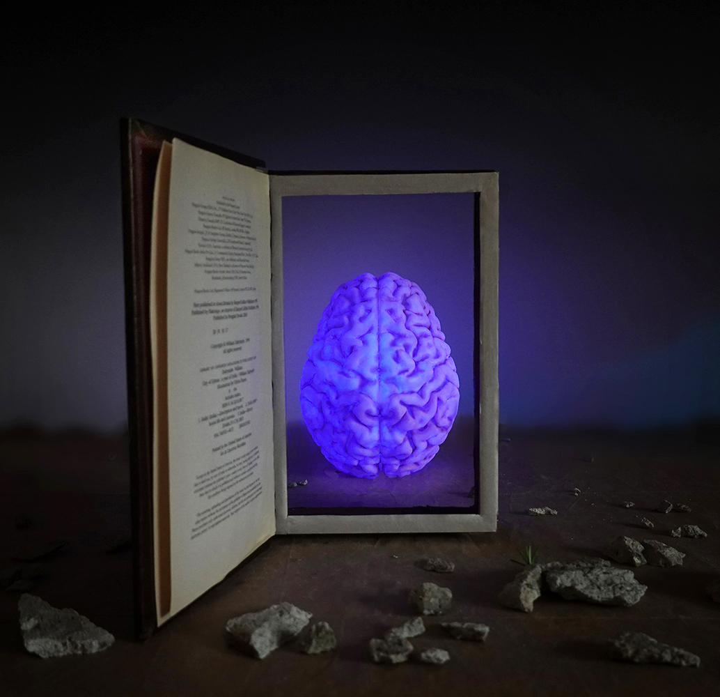 surrealism, dream  brain, blue glow, open book, brain lamp, landscape, mystery